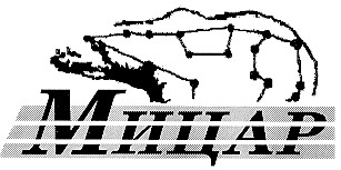 мицар