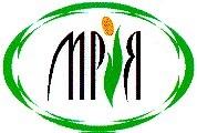 мрія