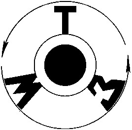 тмз