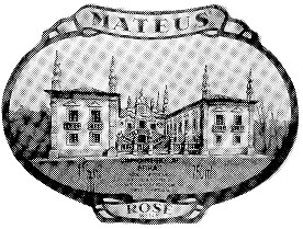 mateus rose