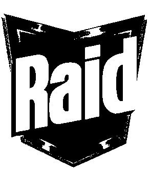 raid