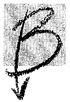 b в