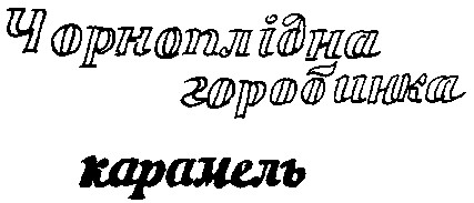 чорноплідна горобинка