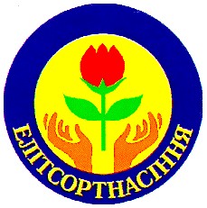 елітсортнасіння