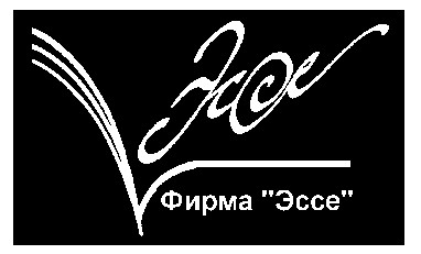 эссе