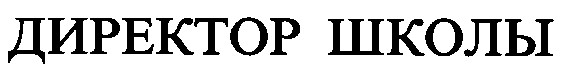 директор школы