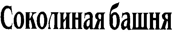 соколиная башня