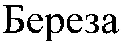 береза