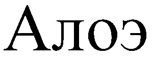 алоэ