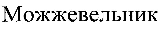 можжевельник