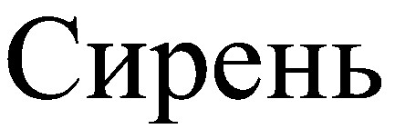 сирень