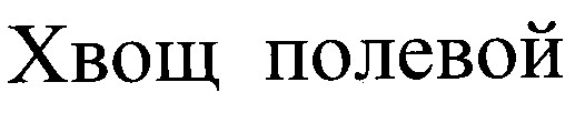хвощ полевой