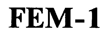 fem 1