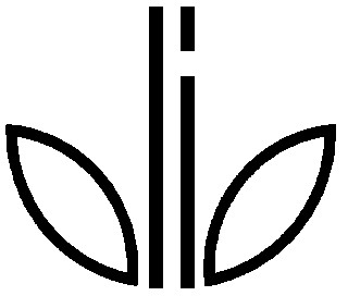 olio