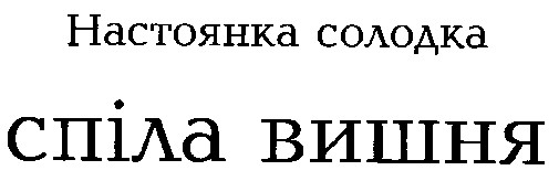 спіла вишня