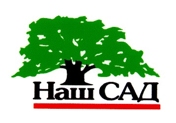 наш сад
