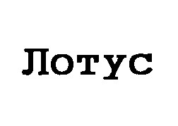 лотус