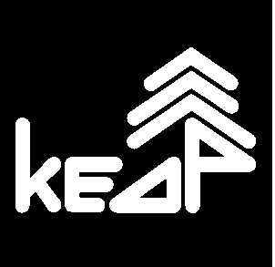 кедр kedp