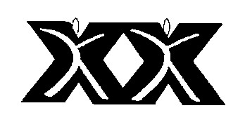 хх xx