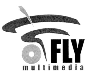fly multimedia