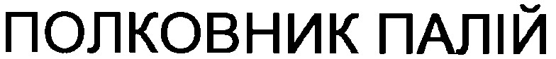 полковник палій