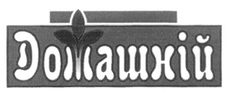 домашній