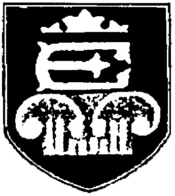 Фігуративна марка № 99030682