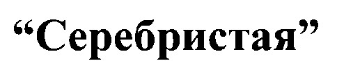 серебристая
