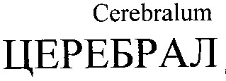 cerebralum церебрал