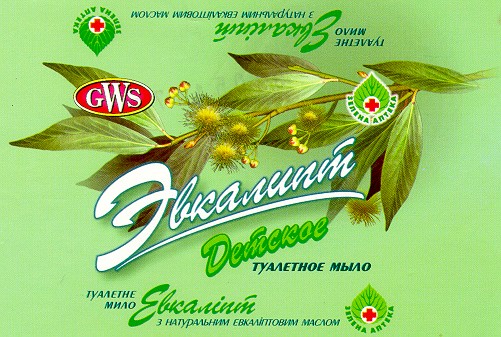 евкаліпт эвкалипт gws