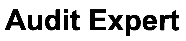 audit expert