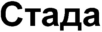 стада