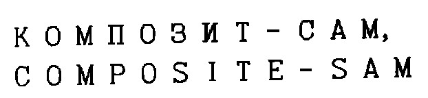 composite-sam