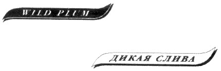 дикая слива