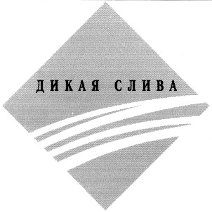 дикая слива