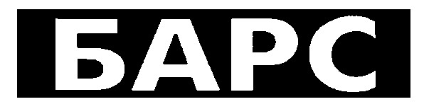 барс