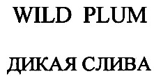 дикая слива