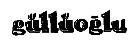gulluoglu