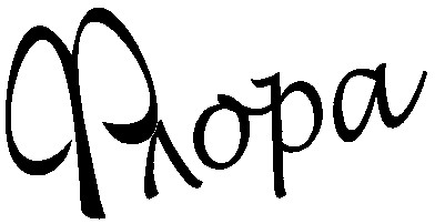 флора