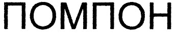 помпон