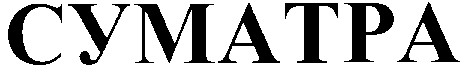 суматра