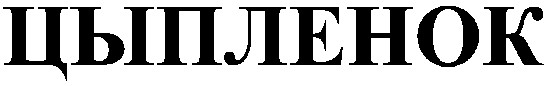 цыпленок
