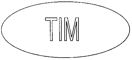 tim