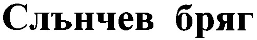 слънчев бряг