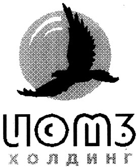 холдинг