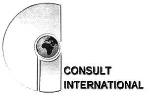 consult international