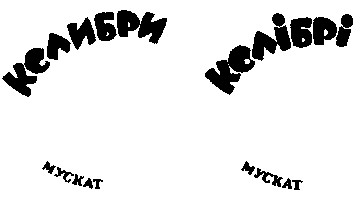 колибри