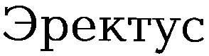 эректус