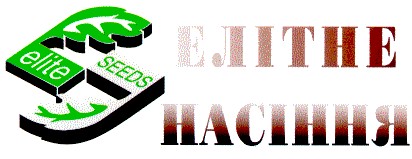 елітне насіння