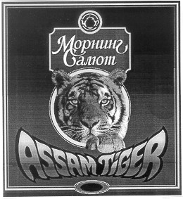 морнинг салют